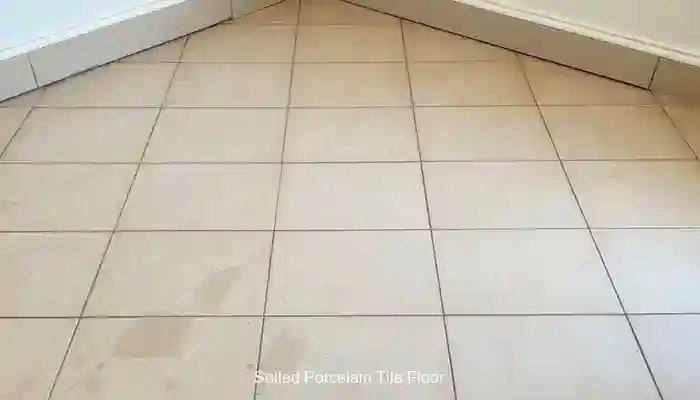 Professional Porcelain Tile Restoration: Expert Techniques