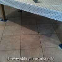 Ceramic Tiles And Grout Cleaning Mold