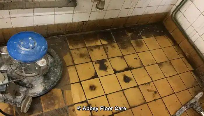 Ceramic Tile Repair Contractors Near Me West End Today