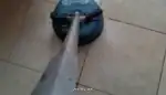 Our Porcelain Tile Repair Near Me East Calder