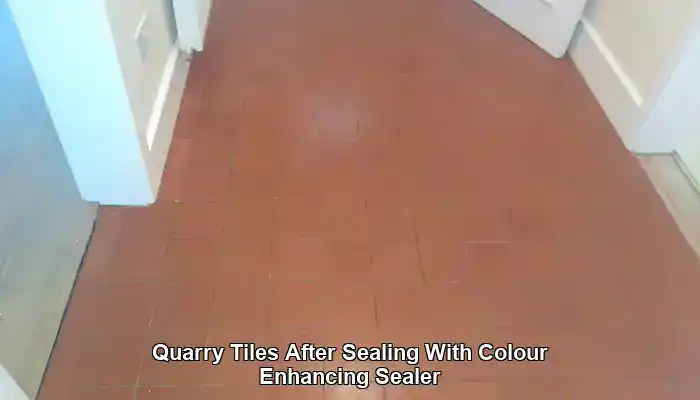 Quarry Tiles After Sealing With Colour Enhancing Sealer