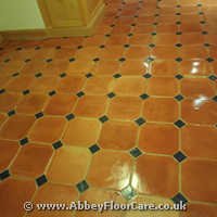 Terracotta Cleaning Llanhilleth Terracotta Cleaning Llanhilleth