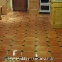 Terracotta Cleaning Waungilwen