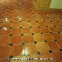 Terracotta Cleaning Tullibody Terracotta Cleaning Tullibody