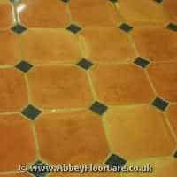 Terracotta Cleaning Llandudno