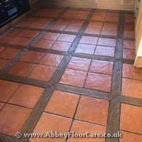 Terracotta Cleaning Henllan Terracotta Cleaning Henllan