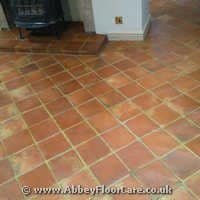 Terracotta Cleaning Mountain Ash