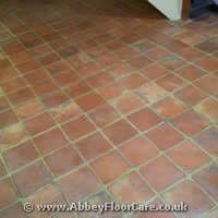Terracotta Cleaning Griffithstown