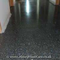 Terrazzo Polishing Parc Seymour Terazzo Polishing Parc Seymour