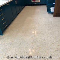 Terazzo Polishing Ewell