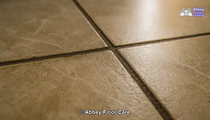 Close-up of a tiled hallway floor with dark grout lines, cloudy residue and compacted soil around the joints.