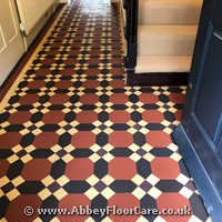 Victorian Minton Tiles Cleaning Havant