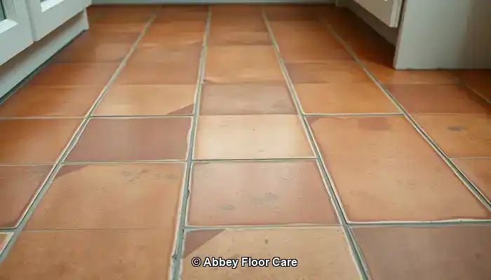 Why Terracotta Gets Dirty Quickly