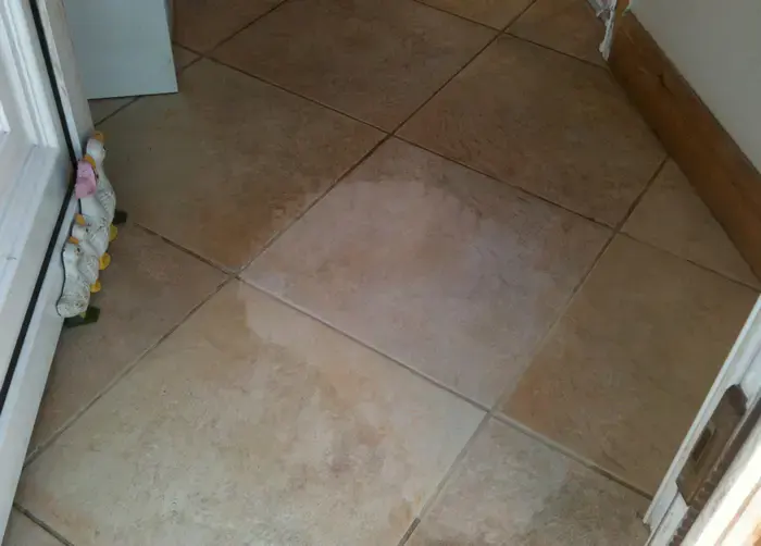Test-cleaned tile patch beside untreated back-door grout