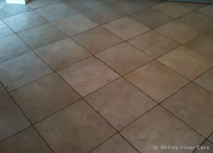 Ceramic tile floor requiring assessment before cleaning