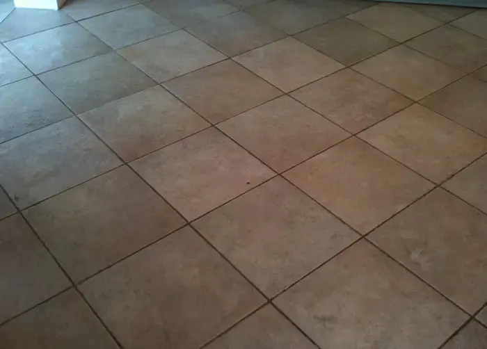 Ceramic tiled family floor with muddy footprints and pet traffic