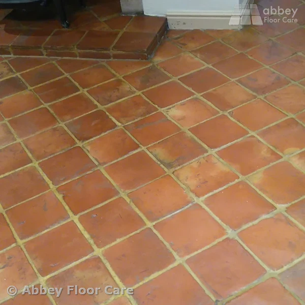 Cleaned And Sealed Terracotta