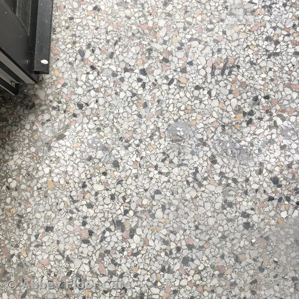 Revamp Your Uninspired Terrazzo Floor with a Fresh Look