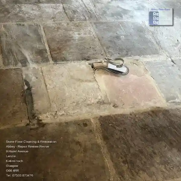 Sandstone Condition Assessment And Estimate