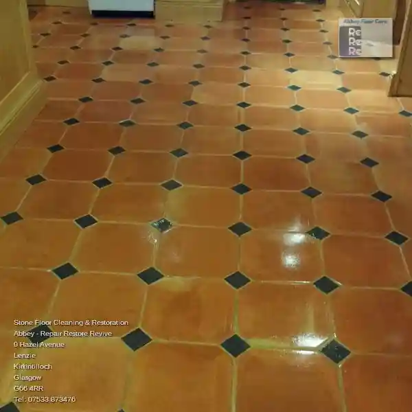 Professional Terracotta Tile Cleaning Service Ayton