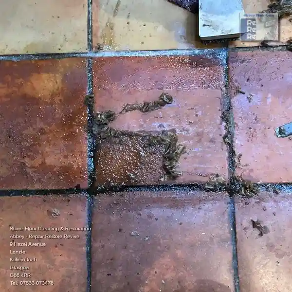 Professional Terracotta Tiles Cleaning And Restoration in Abernethy