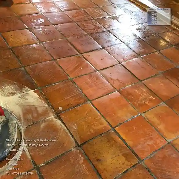 Professional Terracotta Tiles Cleaning And Restoration in Ayton