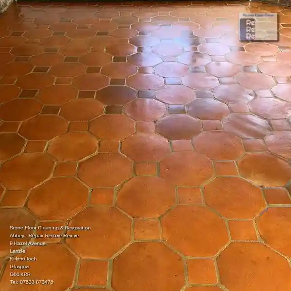 Beautifully cleaned Terracotta Tile floor