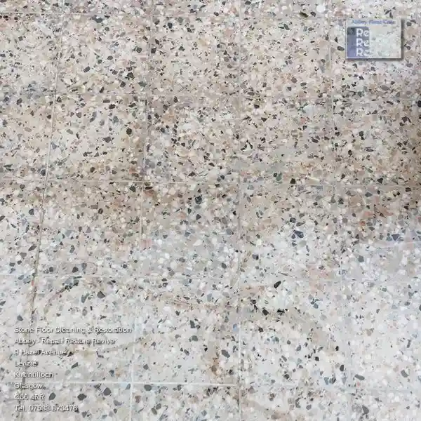 Terrazzo Condition Assessment And Estimate
