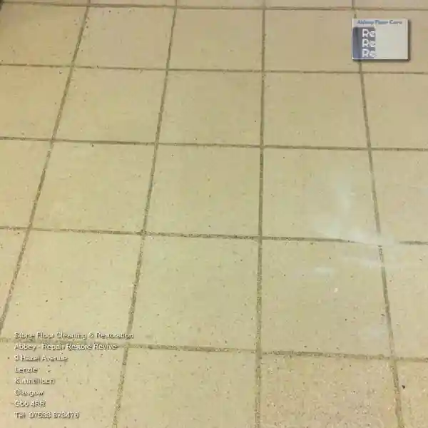 Terrazzo Condition Assessment And Estimate
