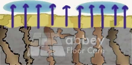 image of an impregnating sealer