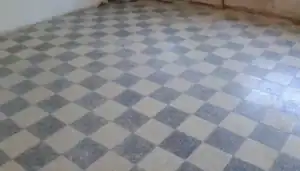 Dull domestic terrazzo floor showing traffic wear before professional polishing