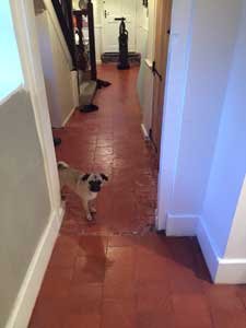 quarry tile floor much wenlock shropshire abbey floor care