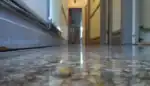 Restored terrazzo floor in a UK home showing even sheen and clear marble chips