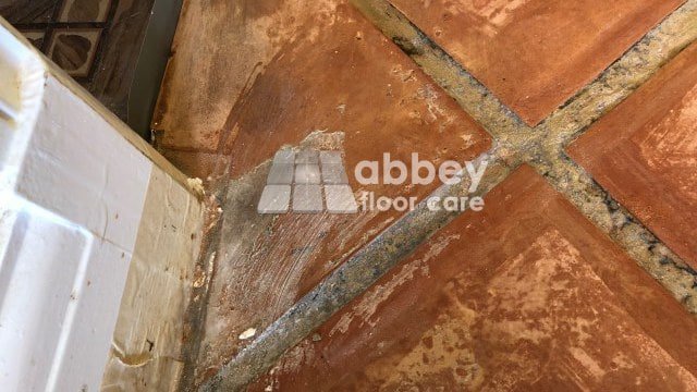 Terracotta Restoration Ilford London Abbey Floor Care