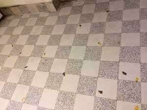 terrazzo floor with markers showing areas of porosity