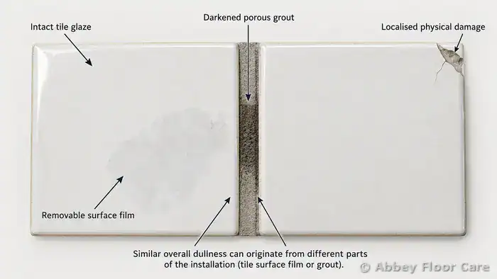 Tile face and grout joint condition comparison diagram